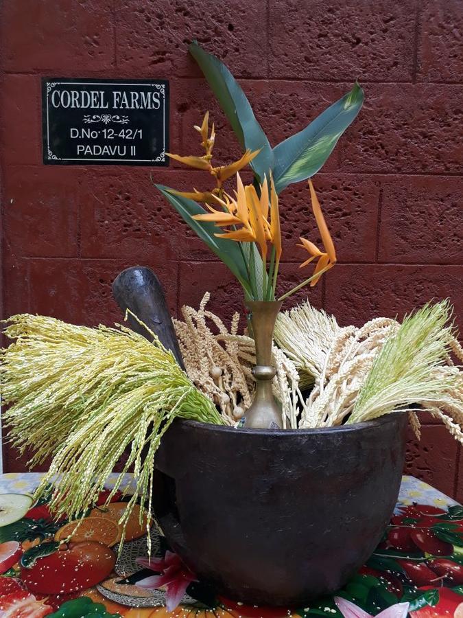 Cordel Farms มังคาลอร์ ภายนอก รูปภาพ