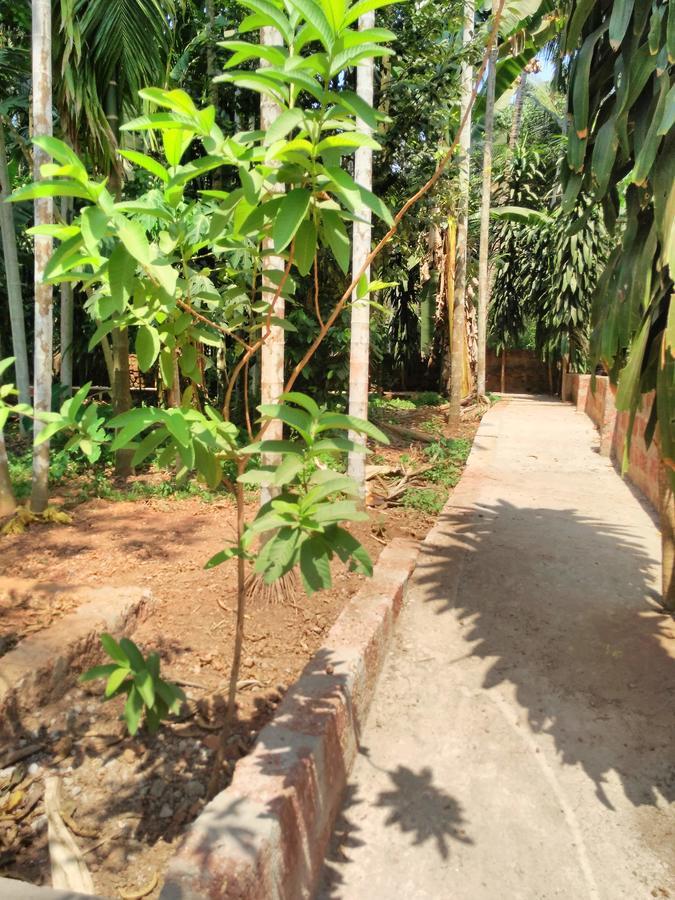 Cordel Farms มังคาลอร์ ภายนอก รูปภาพ